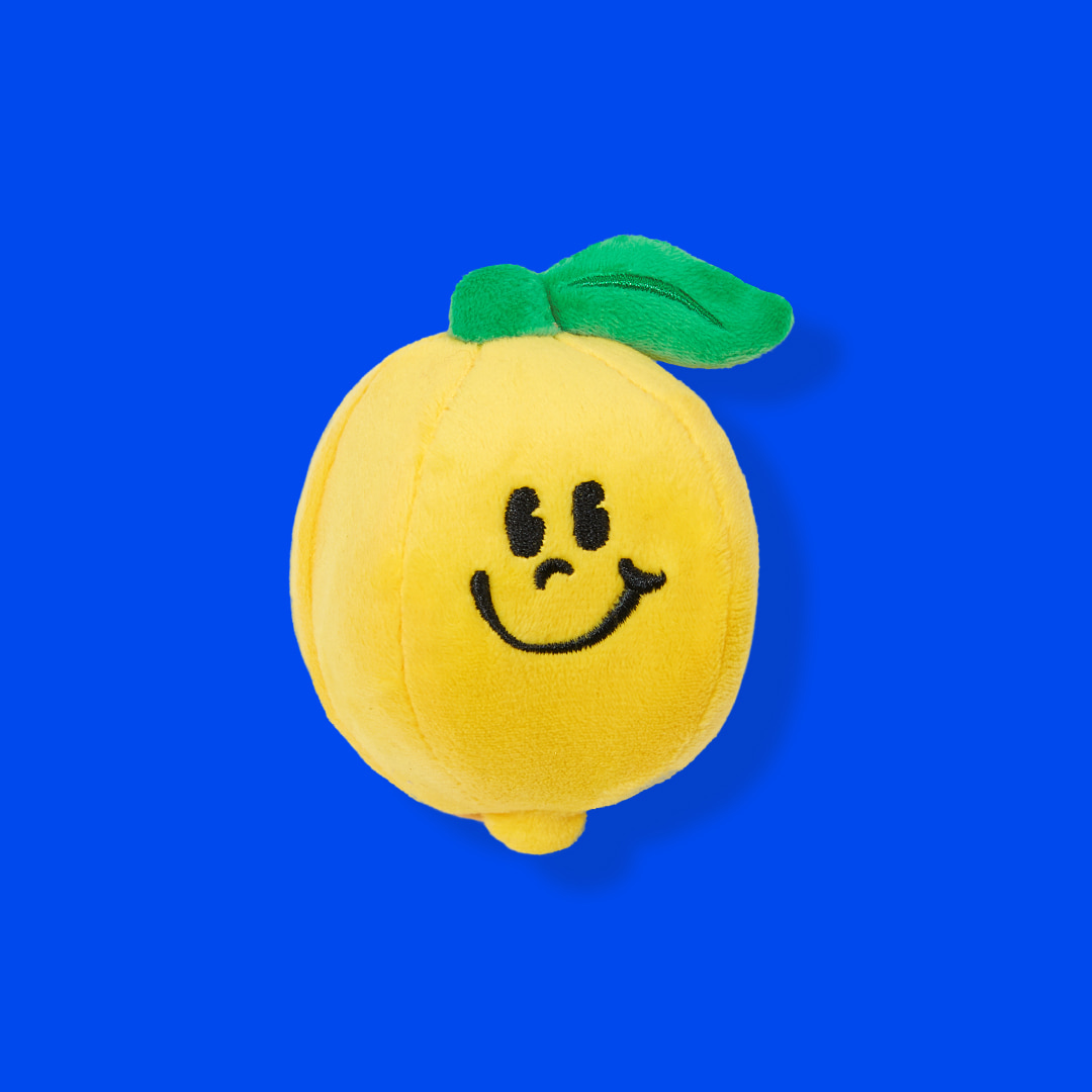 노즈워크 토이 - Lemon